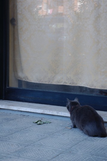 Img20070429-344.jpg - ops... slurp slurp...